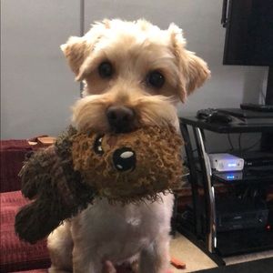 Meet your Posher, Marisol